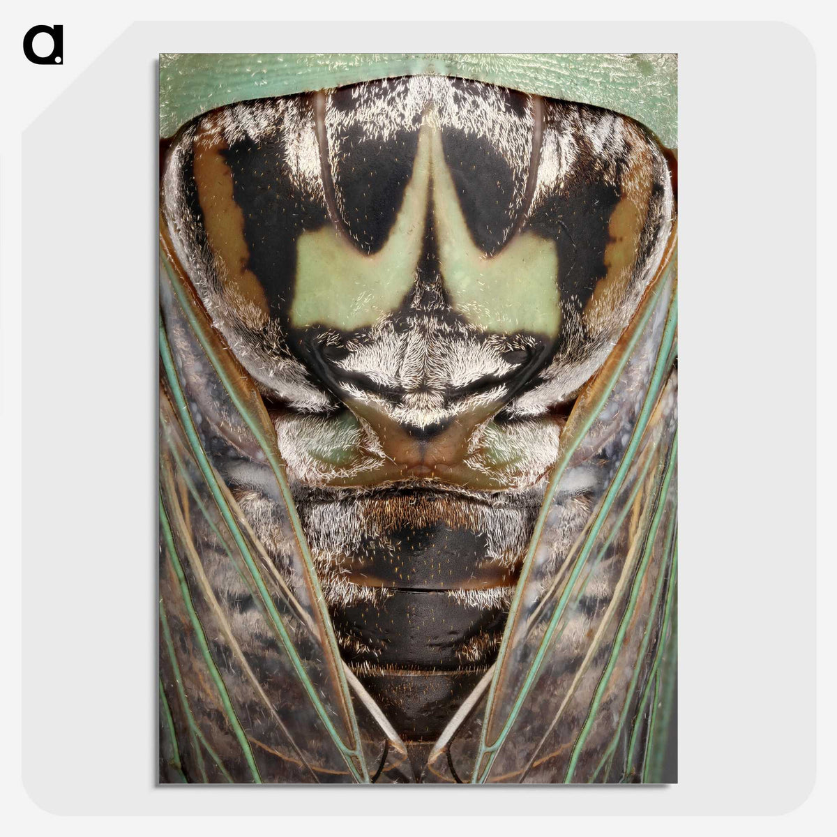 2-48_Insects-Unlocked-Project_picture-crop