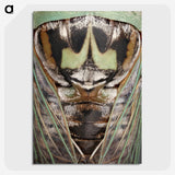 2-48_Insects-Unlocked-Project_picture-crop