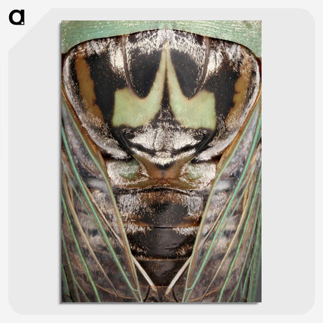 2-48_Insects-Unlocked-Project_picture-crop