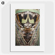 2-48_Insects-Unlocked-Project_picture