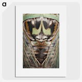 2-48_Insects-Unlocked-Project_picture