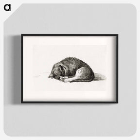 アートポスター-Rolled up lying sleeping cat - ジャン ベルナール Poster.