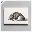 アートパネル-Rolled up lying sleeping cat - ジャン ベルナール Canvas.