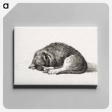 アートパネル-Rolled up lying sleeping cat - ジャン ベルナール Canvas.