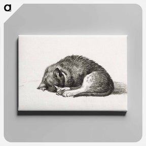 アートパネル-Rolled up lying sleeping cat - ジャン ベルナール Canvas.