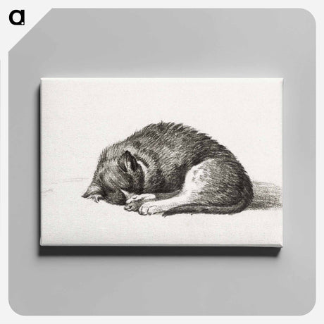 アートパネル-Rolled up lying sleeping cat - ジャン ベルナール Canvas.