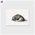 アートポストカード-Rolled up lying sleeping cat - ジャン ベルナール Postcard.