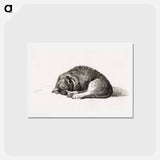 アートポストカード-Rolled up lying sleeping cat - ジャン ベルナール Postcard.