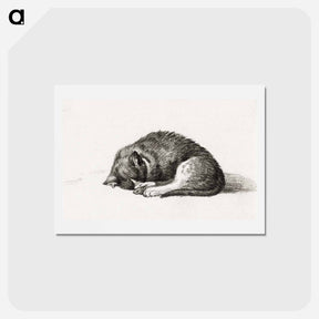 アートポストカード-Rolled up lying sleeping cat - ジャン ベルナール Postcard.