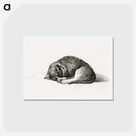 アートポストカード-Rolled up lying sleeping cat - ジャン ベルナール Postcard.