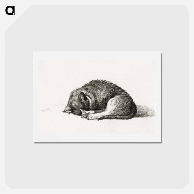 アートポストカード-Rolled up lying sleeping cat - ジャン ベルナール Postcard.