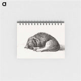 Rolled up lying sleeping cat - ジャン ベルナール Memo.