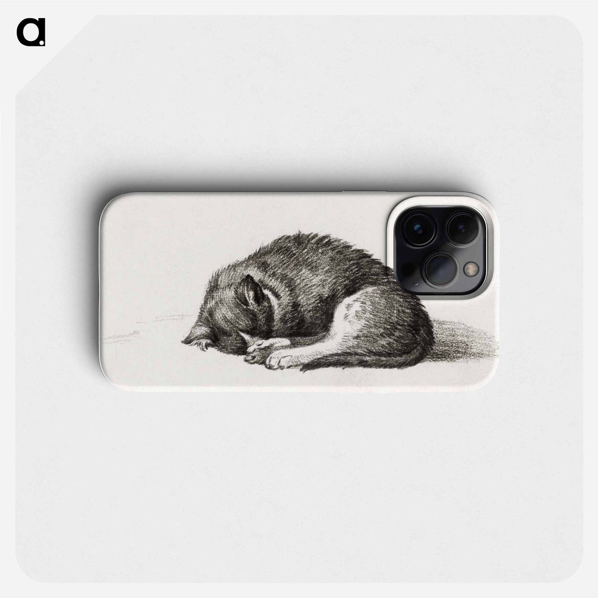 Rolled up lying sleeping cat - Jean Bernard Phone Case.