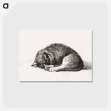 アートポストカード-Rolled up lying sleeping cat - ジャン ベルナール Postcard.