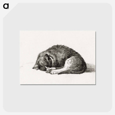 アートポストカード-Rolled up lying sleeping cat - ジャン ベルナール Postcard.