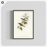 2-48_John-Gould_blk-crop