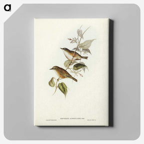2-48_John-Gould_canvas