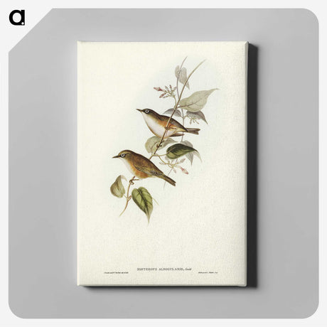 2-48_John-Gould_canvas