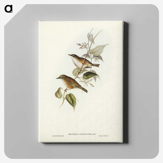 2-48_John-Gould_canvas