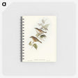 2-48_John-Gould_memo