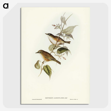 2-48_John-Gould_picture-crop
