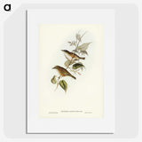 2-48_John-Gould_picture