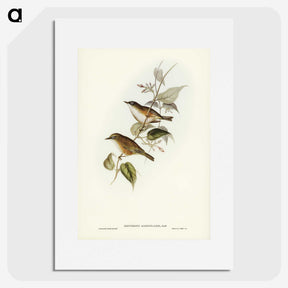 2-48_John-Gould_picture