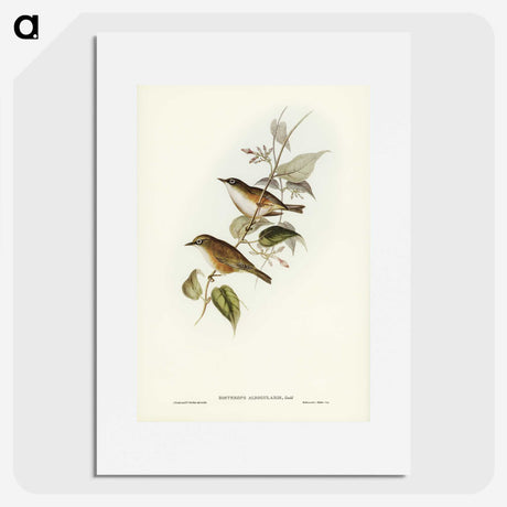 2-48_John-Gould_picture