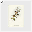 2-48_John-Gould_postcard
