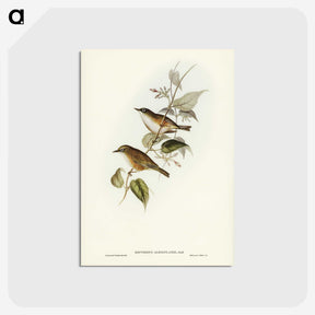 2-48_John-Gould_postcard