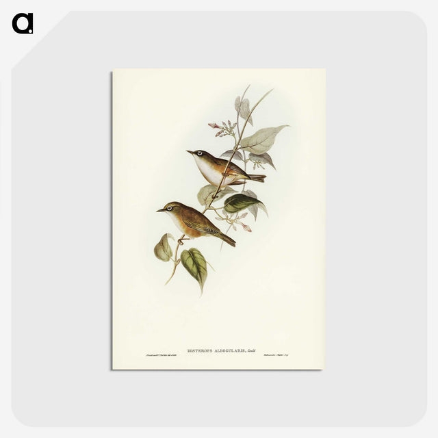 2-48_John-Gould_postcard