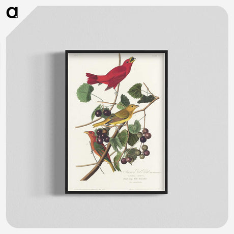 2-48_John-James-Audubon_blk-crop