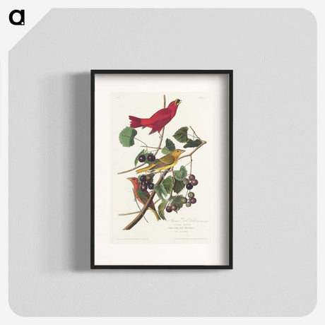 2-48_John-James-Audubon_blk