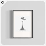 2-48_Les-Palmiers-Histoire-Iconographique_blk