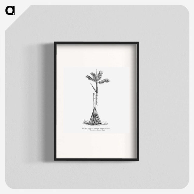 2-48_Les-Palmiers-Histoire-Iconographique_blk
