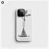 2-48_Les-Palmiers-Histoire-Iconographique_phone
