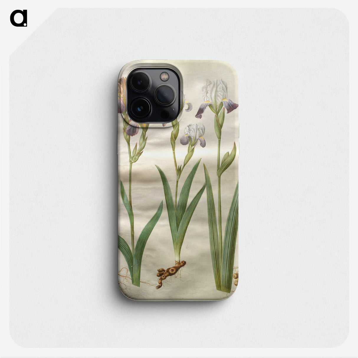 2-48_Maria-Sibylla-Merian_phone