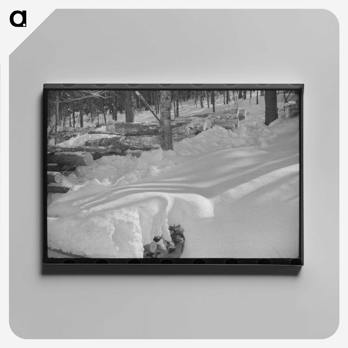 2-48_Marion-Post-Wolcott_canvas