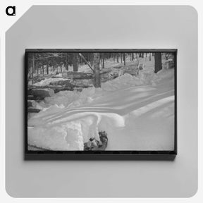 2-48_Marion-Post-Wolcott_canvas