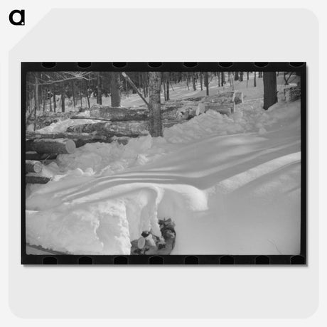 2-48_Marion-Post-Wolcott_picture-crop