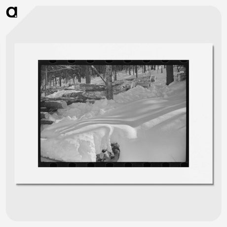 2-48_Marion-Post-Wolcott_picture