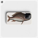 2-48_Mark-Catesby_phone