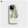 2-48_Mary-Vaux-Walcott_phone