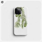 2-48_Mary-Vaux-Walcott_phone