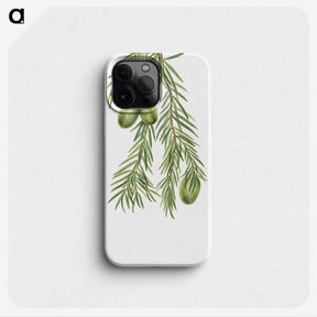 2-48_Mary-Vaux-Walcott_phone