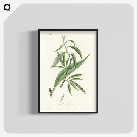 2-48_Medical-Botany_blk-crop