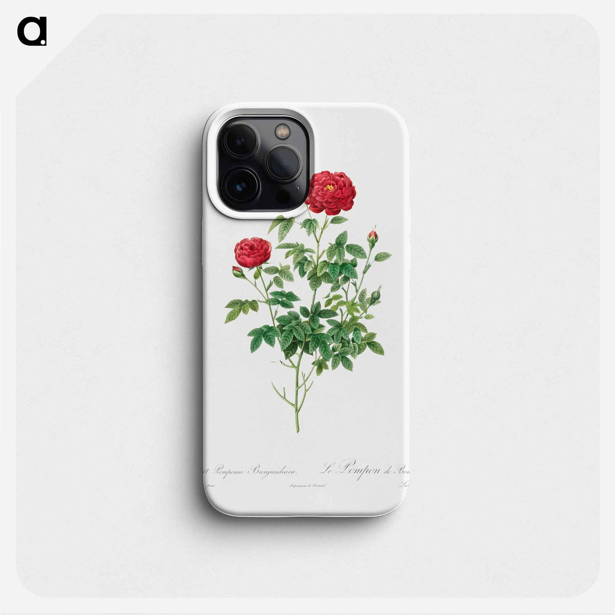 Pompon Rose - Pierre Joseph Redouté Phone Case.