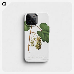 2-48_Pomona-Italiana_phone