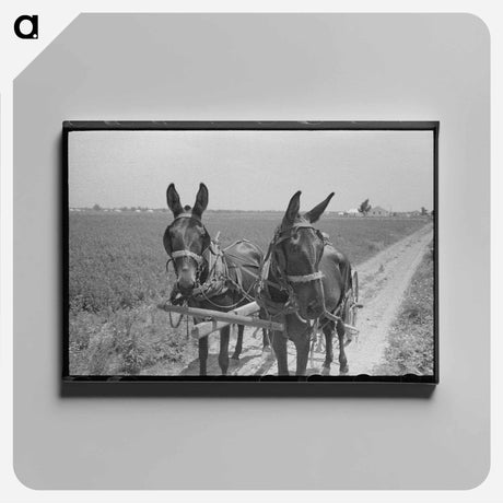 アートパネル-Tire Swing, Harlingen
 - ラッセル リー Canvas.