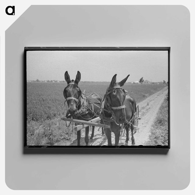 アートパネル-Tire Swing, Harlingen
 - ラッセル リー Canvas.